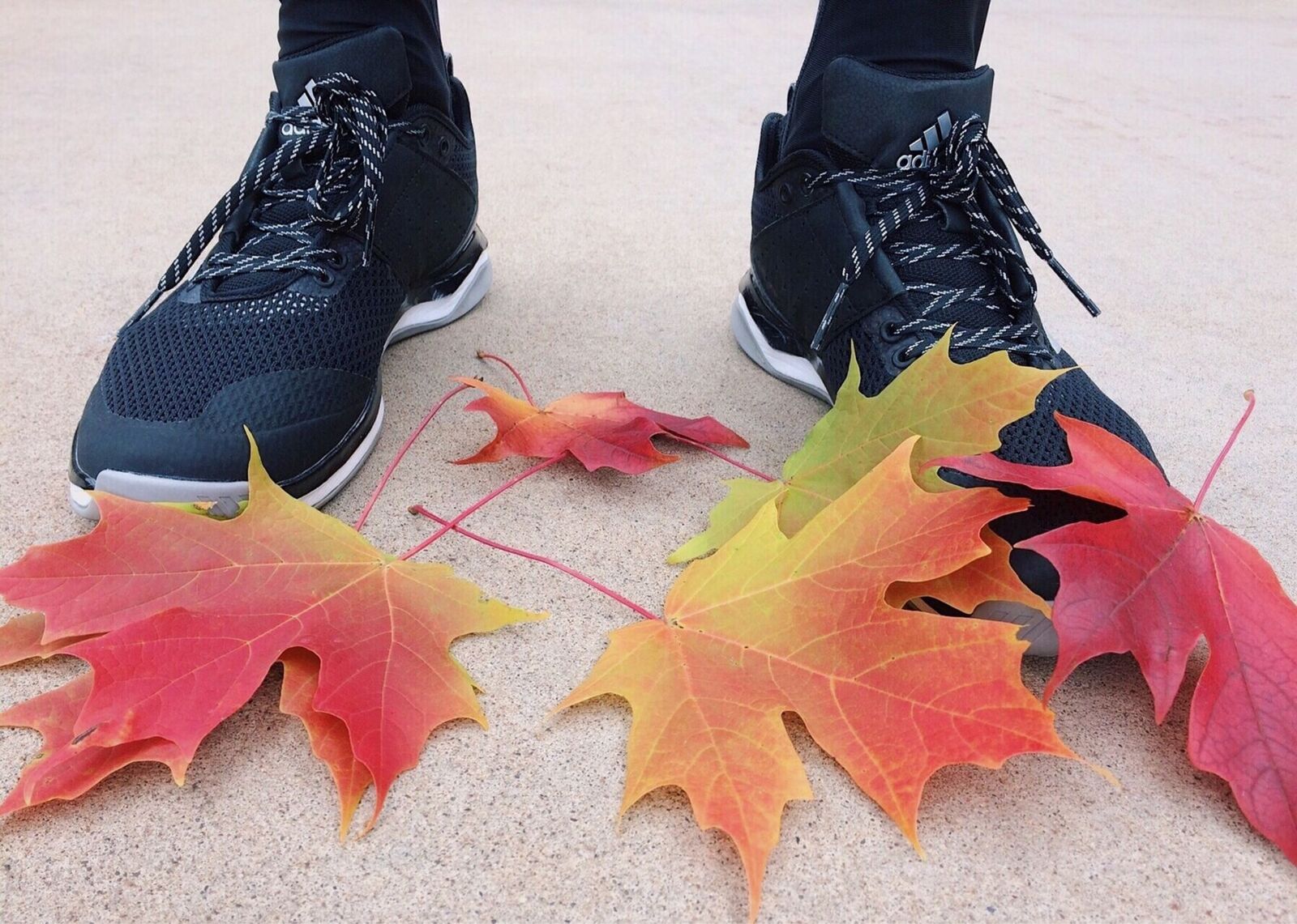 Laufveranstaltung Mecklenburgische Seenplatte