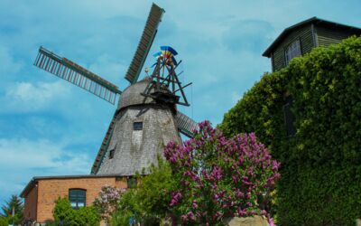 Deutscher Mühlentag 2024