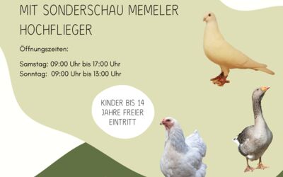 Geflügelzuchtverein Röbel/Müritz