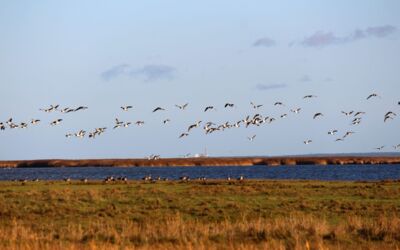 Urlaub Mecklenburg-Vorpommern