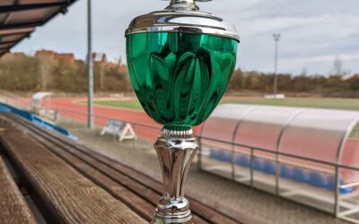 Sommerlauf Waren (Müritz) MV Laufcup