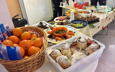Handball Waren (Müritz)