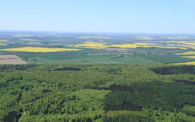 Willy-Cup Naturschutzprojekt