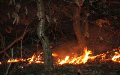 Waldbrandgefahr Müritzregion