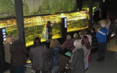 Ferienaktionstage zum Jubiläum Müritzeum