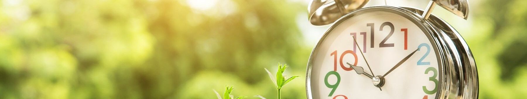 Banken Sparkassen Mecklenburgischen Seenplatte