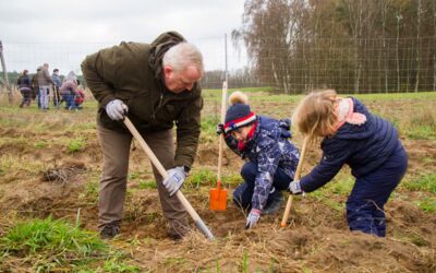 Klimawald „Fleesensee“ WEMAG-Baumpflanzaktion