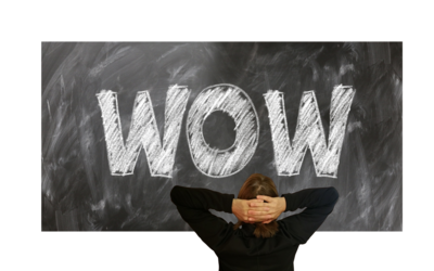 Agentur WERK3 aus Rostock