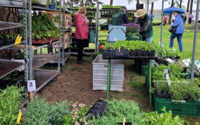 Veranstaltung Alt Schwerin Agroneum