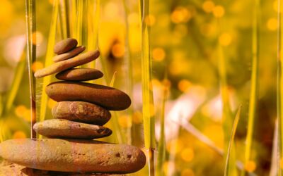 Wellness Göhren-Lebbin Mecklenburgische Seenplatte