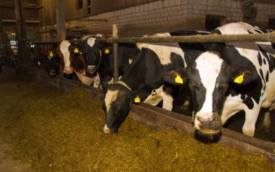 Bauernhof Mewes Retzow bei Rechlin