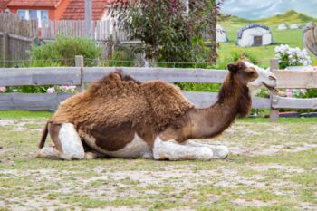 Grabowhöfe jetzt Tourismusort