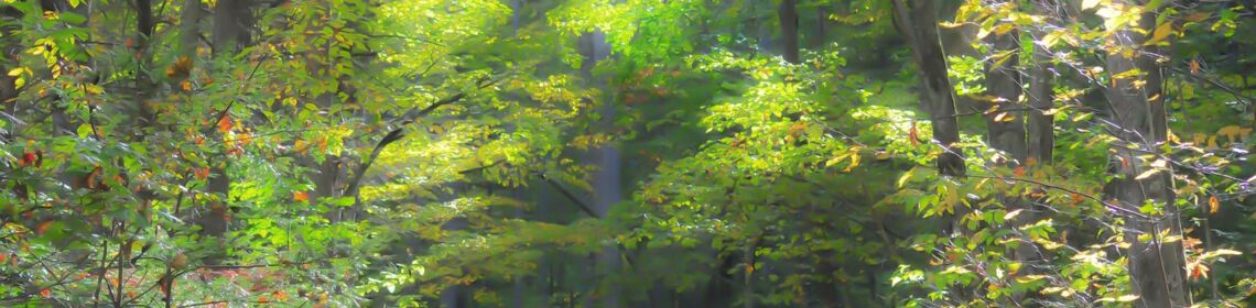 Frühlingswanderung in Kieve