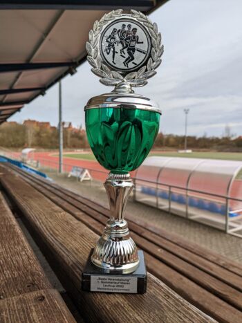 Sommerlauf Waren (Müritz) MV Laufcup