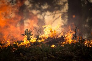 Waldbrandwarnstufe Mecklenburgische Seenplatte
