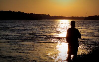 Heringssaison Mecklenburg-Vorpommern