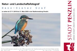 Naturfotos in Penzlin