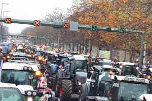 Landwirte informieren am Famila-Markt