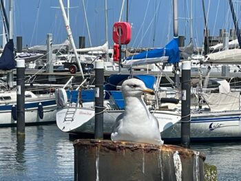 Binnenschifffahrt in Mecklenburg-Vorpommern