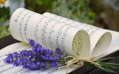 Musiklehrkräfte Mecklenburg-Vorpommern