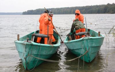 Fischzug in Alt Schwerin