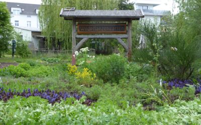 Veranstaltung Waren (Müritz)