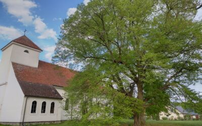 Kirchengemeinde Rechlin Vipperow