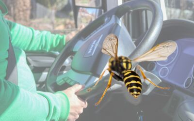 Schwerer Verkehrsunfall zwischen Vellahn und Dersenow