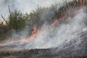 Flächenbrand bei Mirow