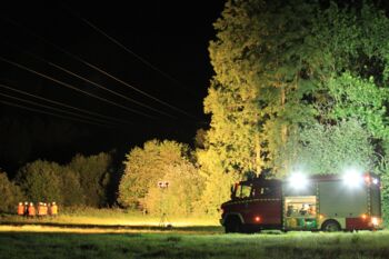Feuerwehreinsatz: Ast fällt in Stromleitung