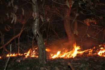 Waldbrandgefahr Müritzregion