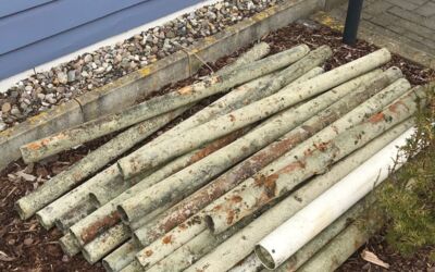 Wasserschutzpolizei M-V aus Plau am See