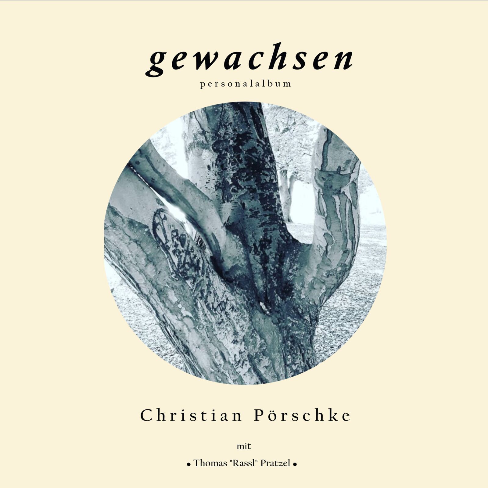 Musiker Christian Pörschke