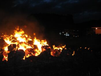 Feuerteufel Müritzregion