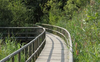 Bauarbeiten Waren (Müritz)