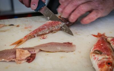 gute Messer kaufen