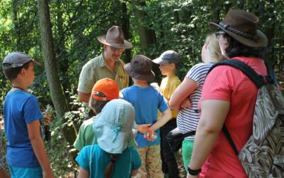 Freizeittipp Mecklenburgische Seenplatte