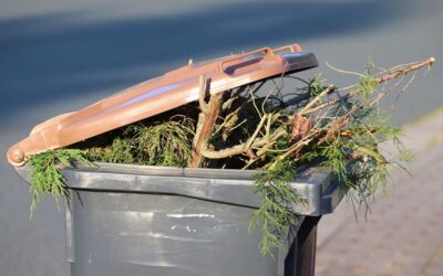Abfallwirtschaft Mecklenburgische Seenplatte