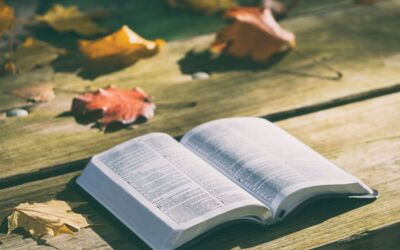 Lesung mit Hartmut König in Malchow