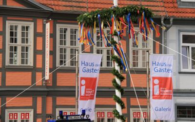 Maubaum steht in Waren (Müritz)