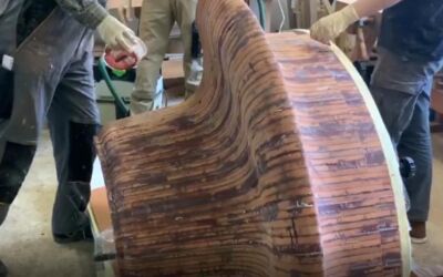 Tischler im Regionalen Beruflichen Bildungszentrum Müritz