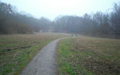 Pommersche Wiese Waren (Müritz)