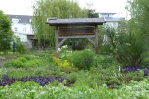 Wildpflanzengarten Herrenseebrücke Tiefwarensee