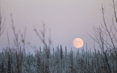Wann ist Vollmond?