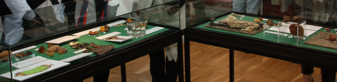 Museum Waren (Müritz)