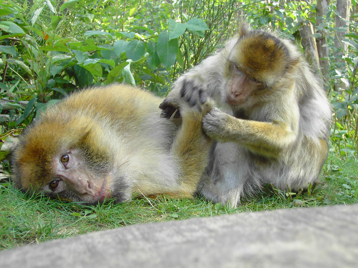 Tierpark Malchow