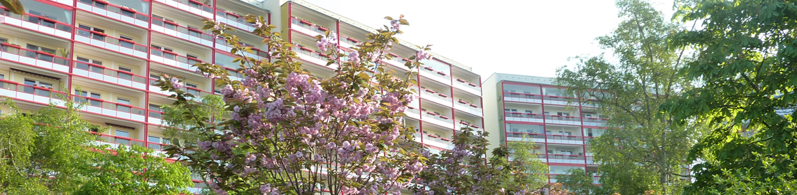 WWG Waren Müritz
