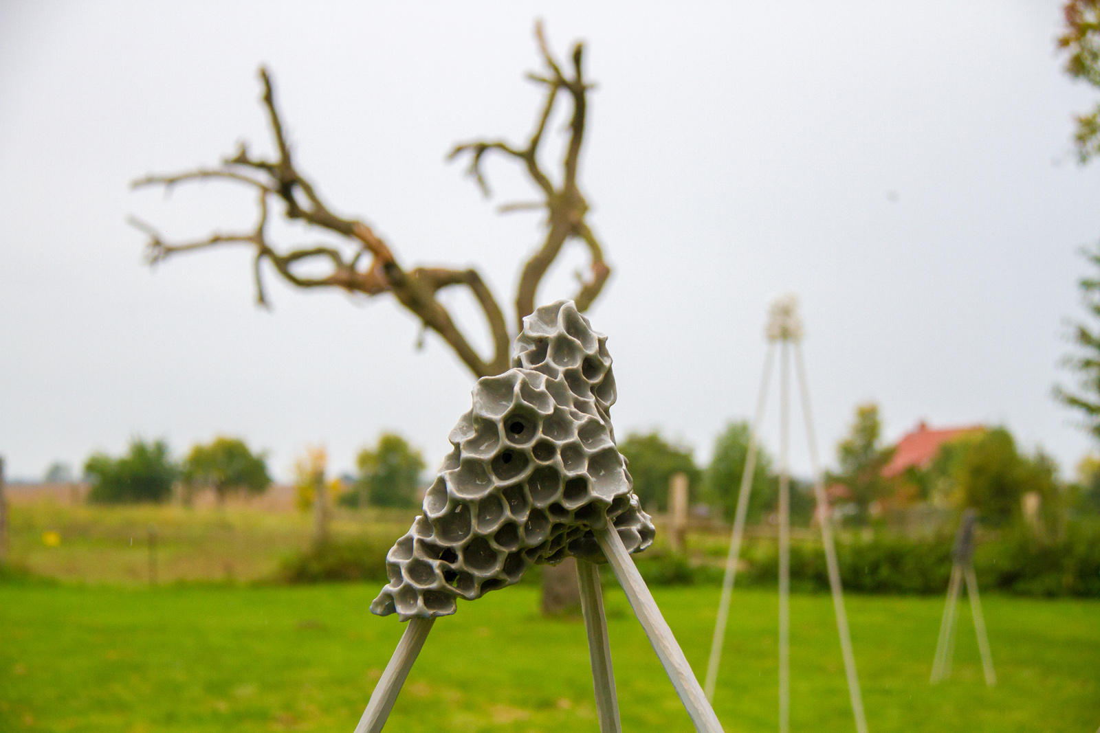 Kunst in der Landschaft - Kunst heute