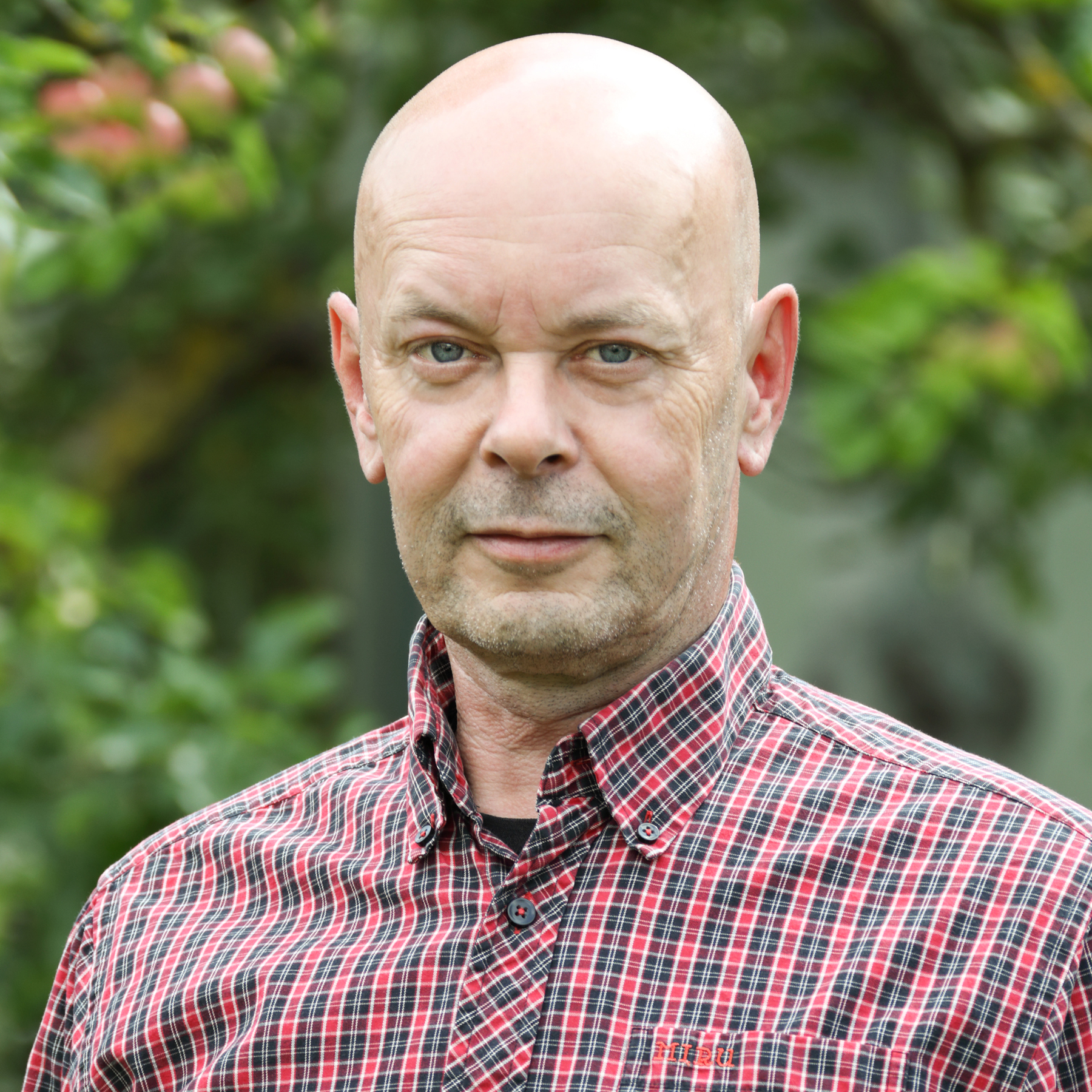Basisdemokratische Partei Deutschland