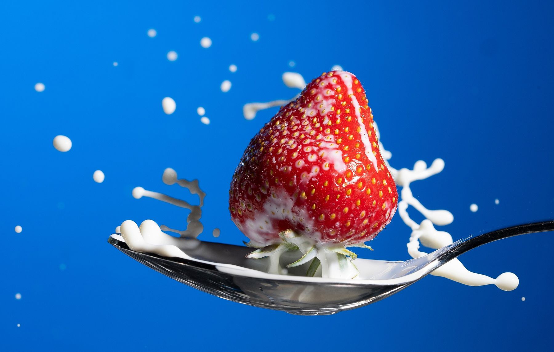Erdbeeren Mecklenburg-Vorpommern